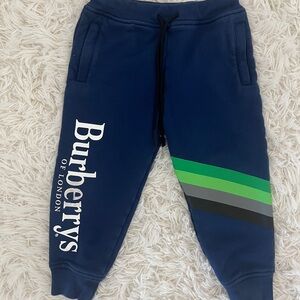Burberry Blue and Green Sweatpants for Active Comfort